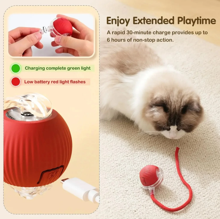 CATTY BALL