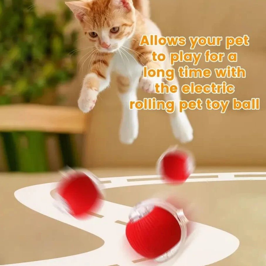 CATTY BALL