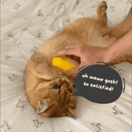 Pawsh Brush