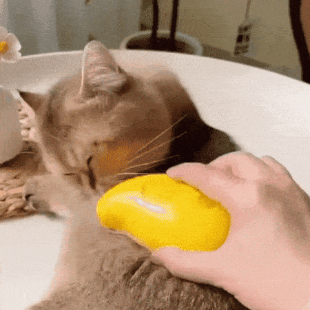 Pawsh Brush