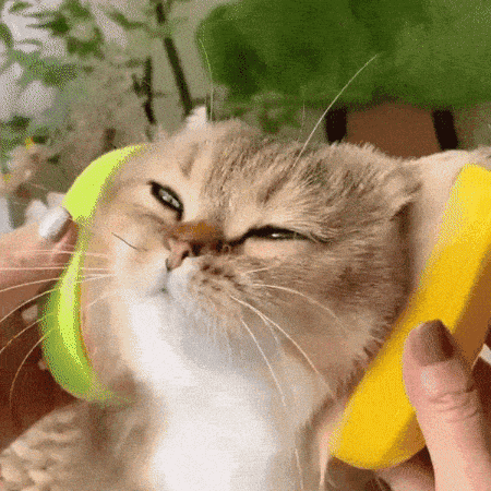 Pawsh Brush